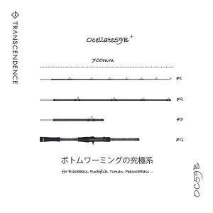 TRANSCENDENCE（トランスセンデンス） ショアアール94S TRANSCENDENCE
