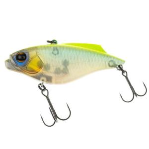 IMAKATSU（イマカツ） ギルロイドジュニア ダイブ 3Dリアリズム : 池袋