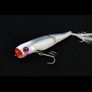 Megabass（メガバス） POPMAX 限定カラー : 池袋タックルアイランド