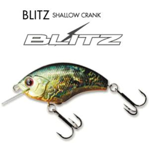 DAIWA（ダイワ） 【目玉商品】ダイワ 23 インターライン 大島 フレイム