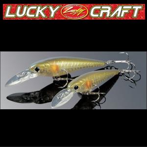 【AOM】ＳＴＥＥＺ　ＡＩＩ　ＴＷ　１０００ＸＨ ダイワ スティーズ AII TW 1000XH / DAIWA STEEZ : 大門釣具 - 通販