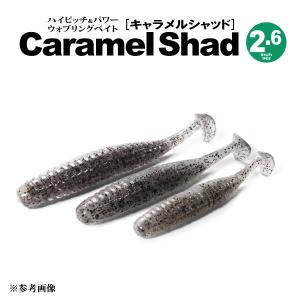 イッセイ 一誠 キャラメルシャッド 2.6in (ブラックバスワーム) ゆう