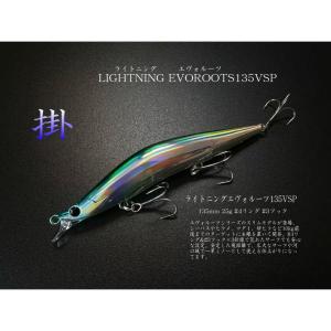BLAZEYE ブレイズアイエヴォルーツ120F 10個セット ケース付き