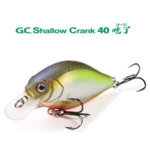 issei 一誠 G.C.ワカペン三個セット 一誠 GCワカペン 90 issei【1】 : バックラッシュYahoo!店 - 通販