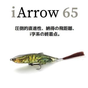 お１人様１点限り イマカツ　アイアロー65 3Dリアルカラー