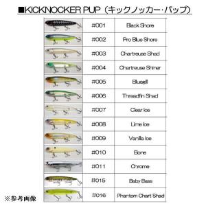 Teckel（テッケル） グッドペッカー : 池袋タックルアイランド