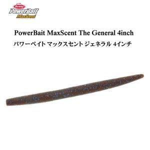 Berkley（バークレイ） マックスセント クリッターホッグ 4インチ