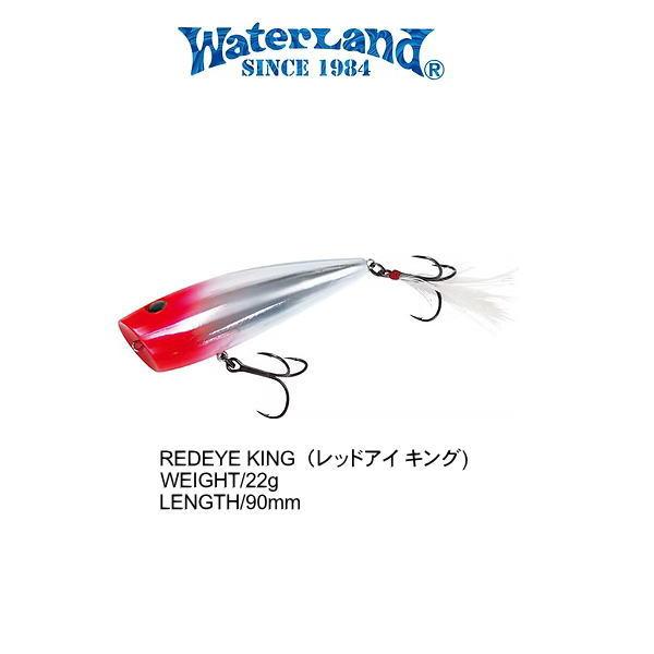 ウォーターランド　レッドアイキング