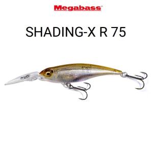 Megabass Type-X タイプX メガバス　2個セット SHADING-X R 75 | Megabass-メガバス