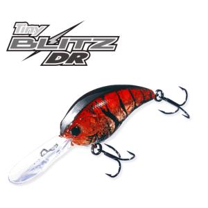 シマノ ロッド ポイズングロリアス XC 166L-G/BFS [6・大型] : 釣具の