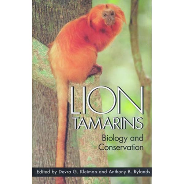 tamarins