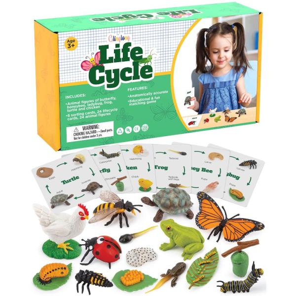 Life Cycle Kit Montessori - Realistic Figurine Toy...