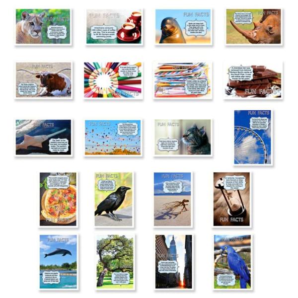 FUN FACTSポストカードセット 20枚 英語版ポストカードのバラエティパックトリビアや楽しい知...
