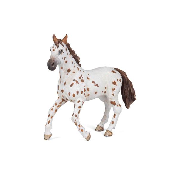 EKKIA(エキア) 乗馬用具 APPALOOSA MARE/PIECE 905051509 905...