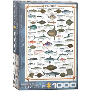 1000ピース ジグソーパズル 海水魚の買取情報