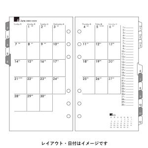 [Bindex] 2027年1月始まり 月間ダ...の詳細画像1