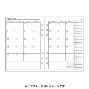 [Bindex] 2027年1月始まり 月間ダ...の詳細画像1