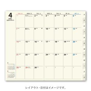 NOLTY/能率 2026年4月始まり マンス...の詳細画像1