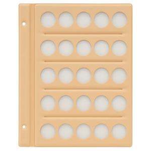 テージー スペア台紙 C-31S6 テージー 4904611013960