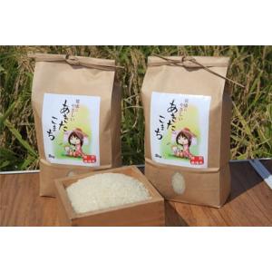 コシヒカリ 武川米 米2kg 山梨県産 令和7年産 武川米 : 万糧米穀