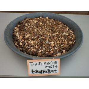 育ちが違う!《熱帯植物の土 10リットル》 初...の詳細画像1