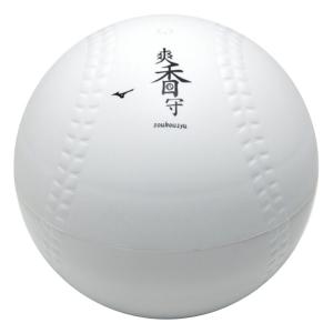 ミズノ 爽香守ボール型ケース入りお手入れセット 1gjyg56700
