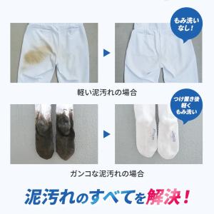 レギュラー 洗剤 1.5kg アルク有限会社 ...の詳細画像3