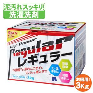 レギュラー 洗剤 3kg アルク有限会社 洗濯洗剤 レギュラー 泥汚れ専用 ユニフォーム 洗濯 送料無料 ガンコ 汚れ 泥汚れ洗剤 ALK3｜tai-spo