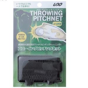 アイピーセレクト フレーチャ FLECHA 投球練習 トレーニング用品