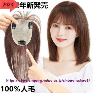 ウィッグ ヘアピース 部分ウィッグ 人毛100％用ウィッグロング　ピン3つ 白髪隠れ 増毛 カバー 手植え 簡単 自然 黒｜tai-store