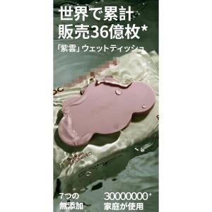 おしりふき 赤ちゃん ウェットティッシュ 手口ふき 蓋付 80枚入り 12パック 無添加 安全 極厚 お尻拭き 赤ちゃん用｜tai-store