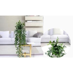 フェイクグリーン 人工観葉植物 造花 緑 つる...の詳細画像5