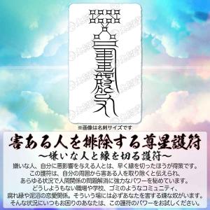 【害ある人を排除する尊星護符】 嫌いな人と縁を...の詳細画像1