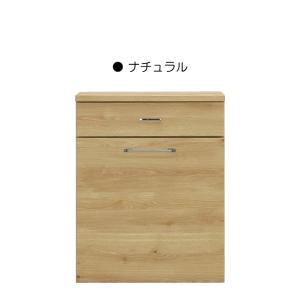 モイス付き ダストカウンター キッチンカウンター 2分別 レンジ台 完成品 幅75cm ゴミ箱 ペール缶2個 ナチュラル｜taiho-kagu