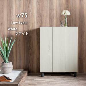 シューズボックス 薄型 大容量 扉付き ハイタイプ ロータイプ 完成品