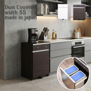 ダストボックス キッチンカウンター ゴミ箱 完成品 幅55cm スリム