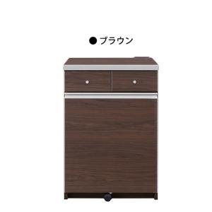 ダストボックスカウンター キッチンカウンター ペール缶 2個付き 幅55cm 2分別 ゴミ箱 レンジ台 スリム 収納家具 ブラウン｜taiho-kagu