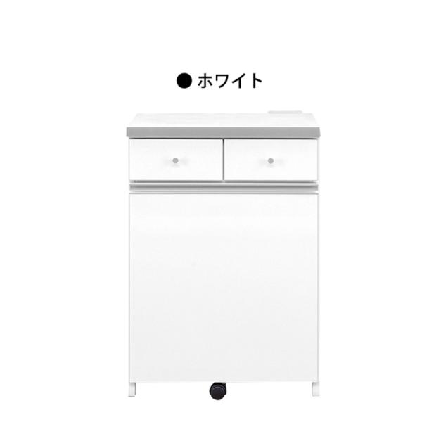 ダストボックスカウンター キッチンカウンター ペール缶 2個付き 幅55cm 2分別 ゴミ箱 レンジ...