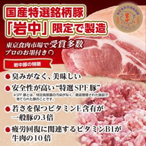 餃子 ぎょうざ もちもち国産ジャンボ大宝餃子 ...の詳細画像5