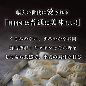 もちもち国産ジャンボ大宝餃子 30個×4 餃子...の詳細画像4