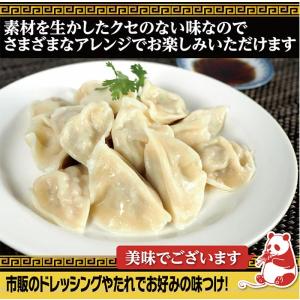 水餃子 餃子 もちもち国産ジャンボ水餃子 40...の詳細画像4