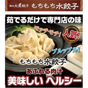 水餃子 餃子 もちもち国産ジャンボ水餃子 40...の詳細画像1