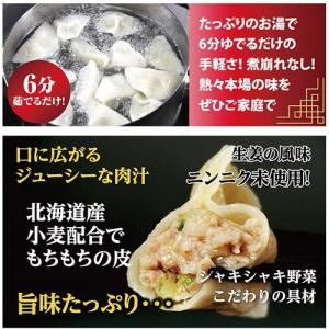 水餃子 餃子 もちもち国産ジャンボ水餃子 40...の詳細画像2