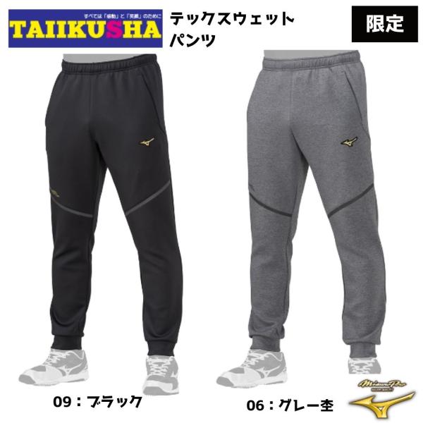 ミズノ　ミズノプロ テックスウェットパンツ　スウェットパンツ　限定　12JFBK70