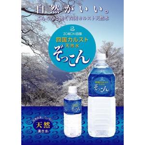 在庫切れ】「いわまの甜水」500mlペットボトル24本×2箱 : いわまの