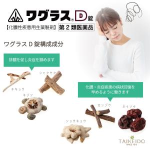 【第2類医薬品】 ワグラスD錠 45錠 ホノミ...の詳細画像2