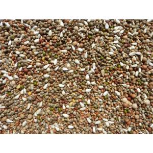 鳩の餌 ２０ｋｇ ヒナ用ご飯 ヒナ用 野鳥 野鳥のえさ 野鳥の餌 野鳥のまき餌 撒き餌 麻の実 あさのみ 小鳩 Ｂ 大起商事（株）