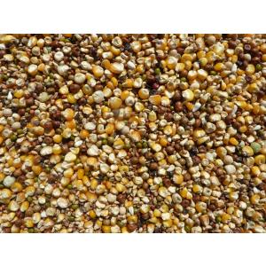 鳩の餌　２５ｋｇ　鳩のご飯　ハトフード　ハトエサ　鳩フード　トウモロコシ　撒き餌　品名なし　　大起商事（株）