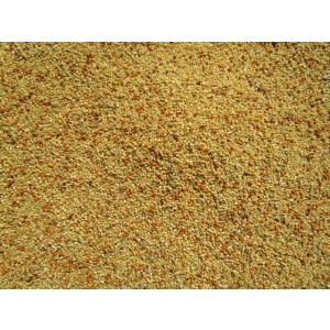 小鳥の餌　小鳥　ムキエサ　無着色　むき餌　２５ｋｇ　文鳥　十姉妹　インコ　キンカチョウ　スズメ　コキンチョウ　フィンチ　中型インコ　ムキエサ　Ｂ