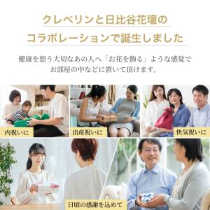 無料のし(シール) 公式 お中元 クレベリン×...の詳細画像2